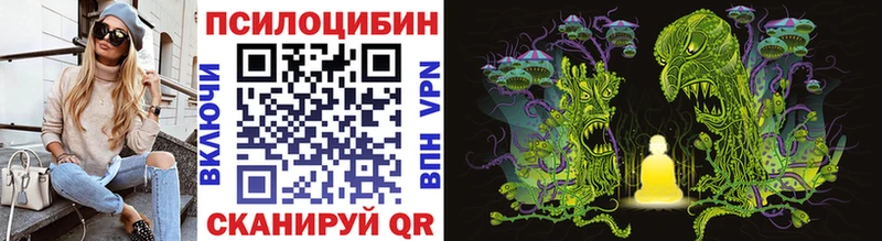 Псилоцибиновые грибы мицелий  Западная Двина 